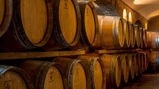 Cata de vinos y visita guiada al Château Saint Louis