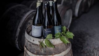 Degustazione Classica
