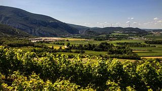 Veneto Vineyard Vino & Views Tour