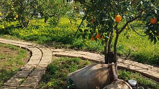 Limonio Estate
