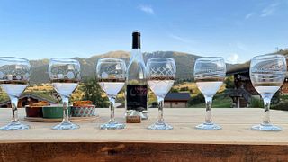 Dégustation et visite de vins au Domaine Tour Saint Michel