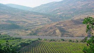 Cantine Patria: A Legacy of Sicilian Winemaking