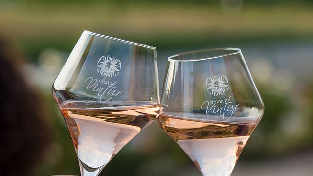 Degustazione di vini e visita al Domaine Vintur