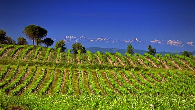 Domaine La Bastide Rougepeyre