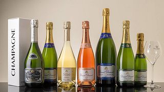 Cata de vinos y visita guiada a Champagne Daniel Dumont
