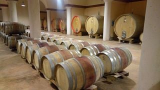 Cata de vinos y visita guiada a Tenuta Cappelina