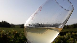 Vinprovning och rundtur på Vignobles Raboutet