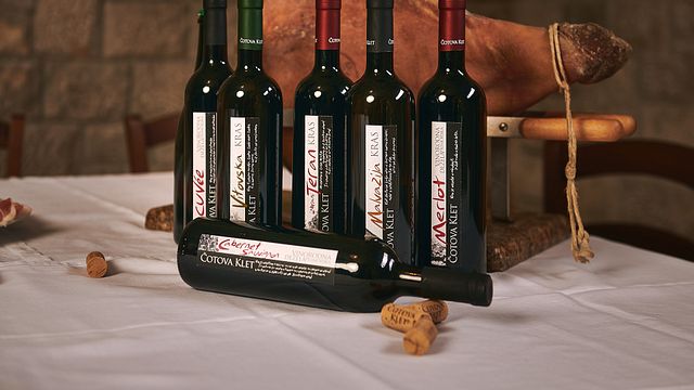 Dégustation de vins et visite à Čotova Klet