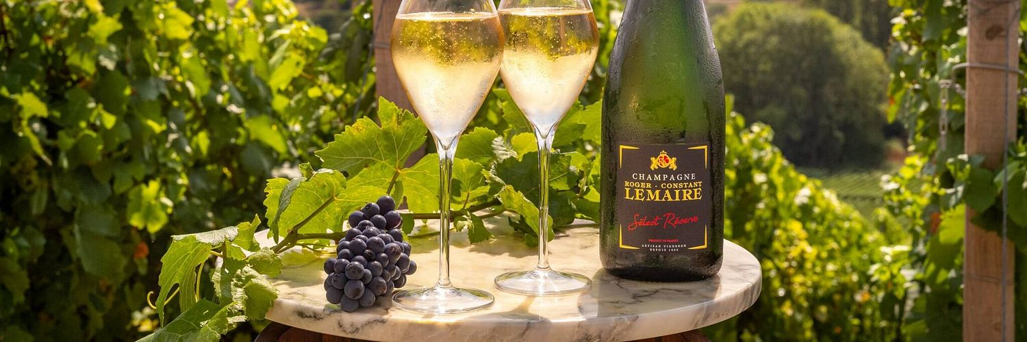 Champagne-roger-constant-lemaire-wine-tasting-2048x1365