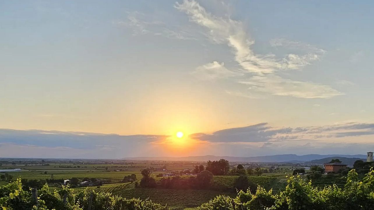 Vigna Ròda