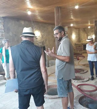 Degustação de vinhos em adega profunda