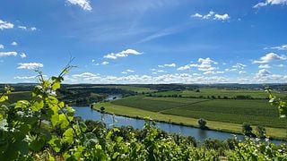 Caves de Grevenmacher