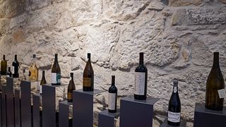 Besuch und Weinprobe von Signature Wines bei Quanta Terra | Destilaria Nr. 7