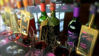 Canary Islands: Ocean vs Land Wine Tasting