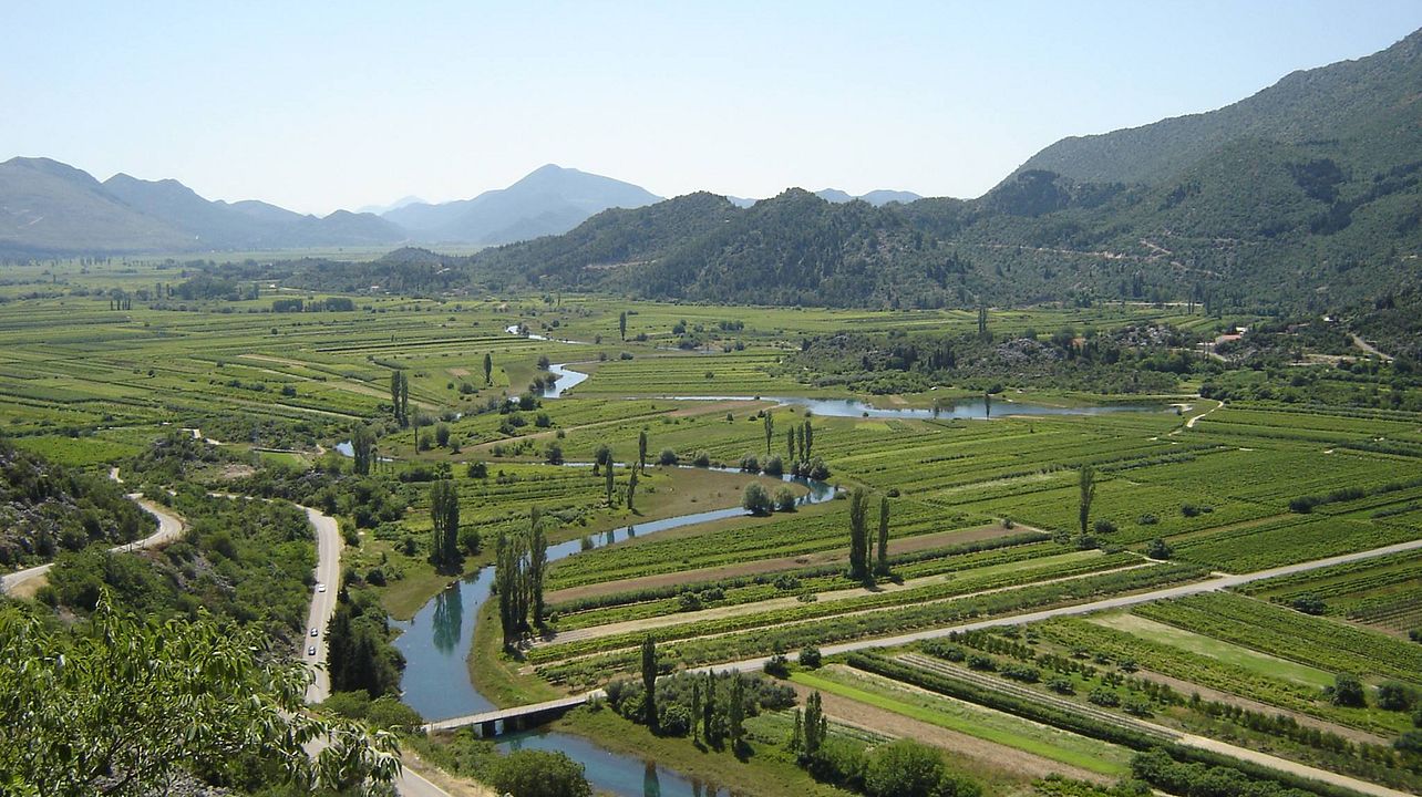 Winery Franić
