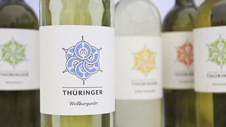 Degustazione di vini e visita alla Weingut Thüringer