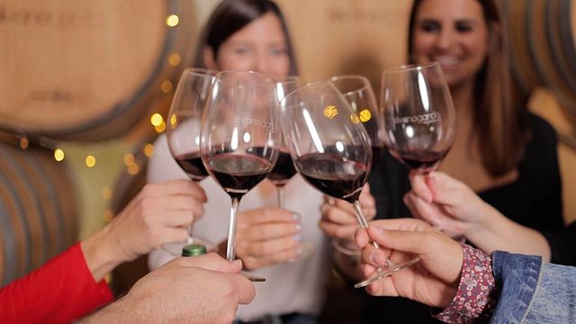 Descubra 3 gerações de vinificação: aromas de 4 vinhos excepcionais