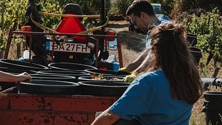 Aventure dans les vignobles