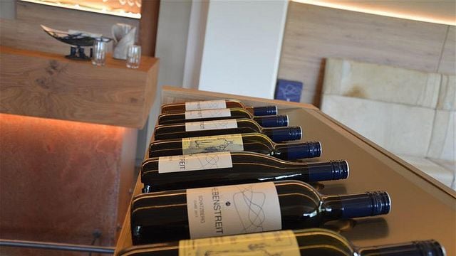 Degustação de vinhos e passeio em Weingut Hebenstreit