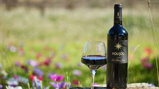Biodynamic Languedoc-Roussillon Wine Journey