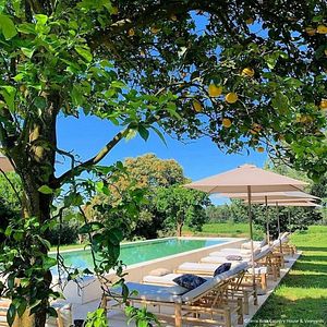 Pernottamento presso Terra Rosa Country House e Vigneti 