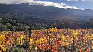 Weinprobe – Boten des Ätna