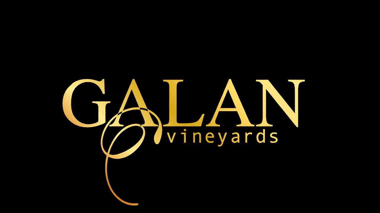 Cata de vinos y visita a los viñedos Galan