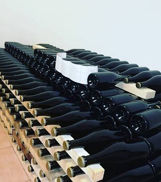 Degustazione e tour di vini da Roberto Capecci