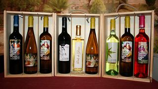 Degustazione e visita popolare alle Bodegas Barón d'Alba