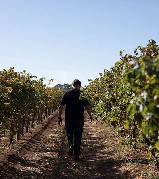 Nugan Estate Winery