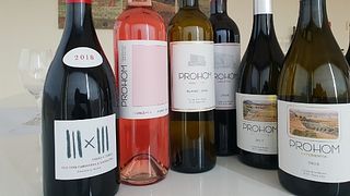 Degustação de vinhos e tour na Celler Coma D'en Bonet