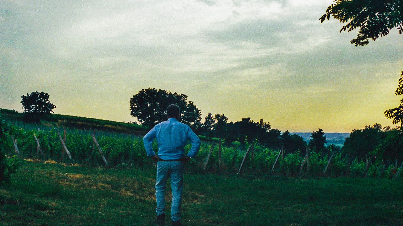 Chateau Picoron - A Unique Bordeaux Experience