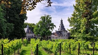 Cata de vinos y visita al Château De Bioul