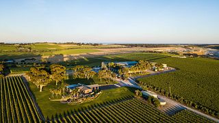 Dégustation de vins haut de gamme chez Mollydooker Wines