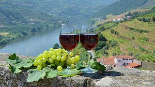 Private Wine Tour at the Douro Valley: 2 Wineries, Cruise in Pinhão and Lunch
