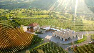 Muntenia Wine Journey: Cellar Tour & Tasting at Lacerta