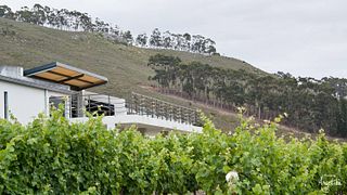 Visite et dégustation aux vignobles d'Arra