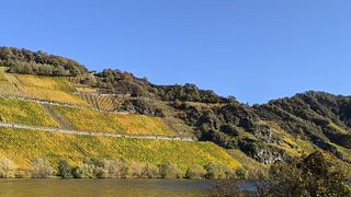 Weingut Lehnert-Veit
