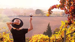 Weingutbesichtigung und Weinprobe bei Sexto Elemento