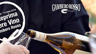 Visite a vinícola Vini Nico Lucci