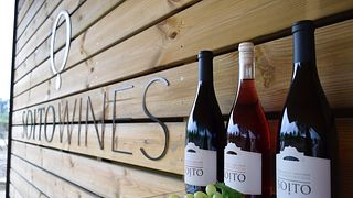 Soito Wines