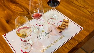 Degustazione di vini e tour popolari presso le cantine del Palazzo Lerma