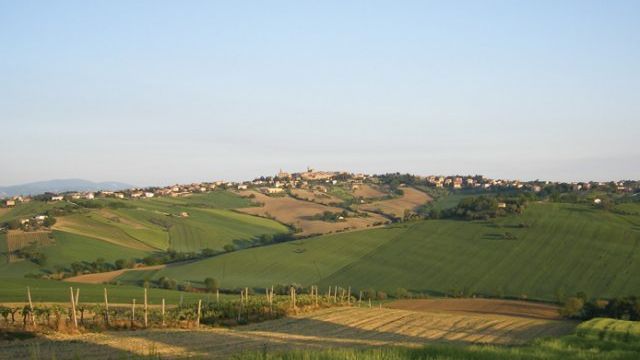 Relaxing Day of Wine and Local Flavors at Tenuta San Marcello