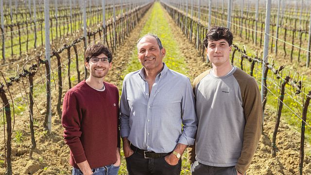 Cata de vinos y tour en Casa Piazza
