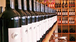 Degustação clássica de 4 vinhos em Terres de Lavaux
