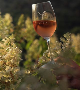 Wine & Dine Experience in Mikulov