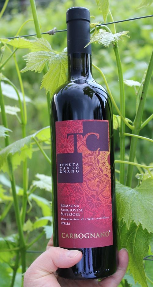 Carbognano Sangiovese Superiore Romagna Doc Organic