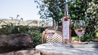 Premium-Weinprobe bei Turkey Flat Vineyards