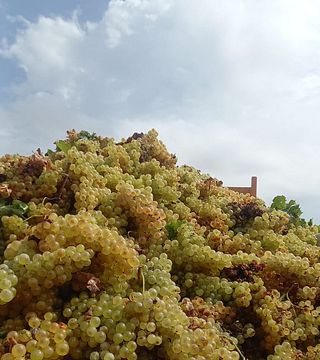 Baglio Aimone Winery
