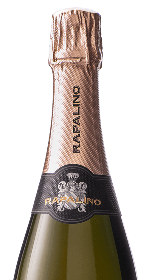 Nebbiolo d'Alba Spumante Rosé DOC Classic Method Pas Dosé